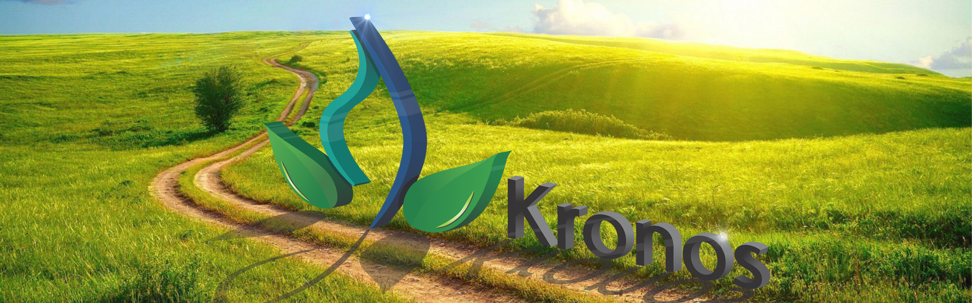 Kronos Energy